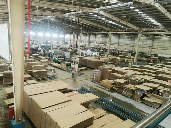 How a Struggling Carton Factory Reached $140 Million in Revenue by Dominating a Single Niche