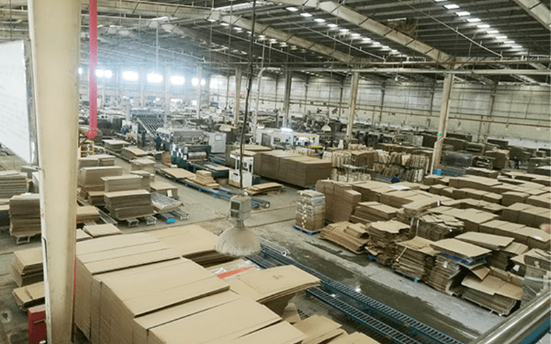 How a Struggling Carton Factory Reached $140 Million in Revenue by Dominating a Single Niche